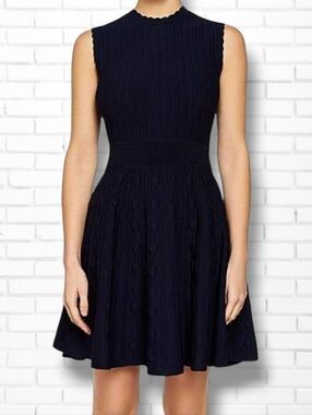 Ted Baker Kamylia Navy Blue Knit Skater Midi Scallop Hem Dress Size 4 (Large)